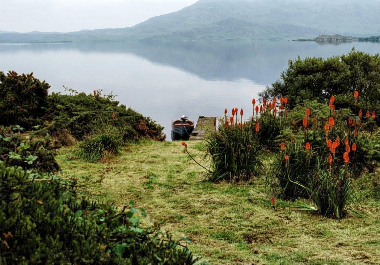 Wildflowers along the shoreline path
