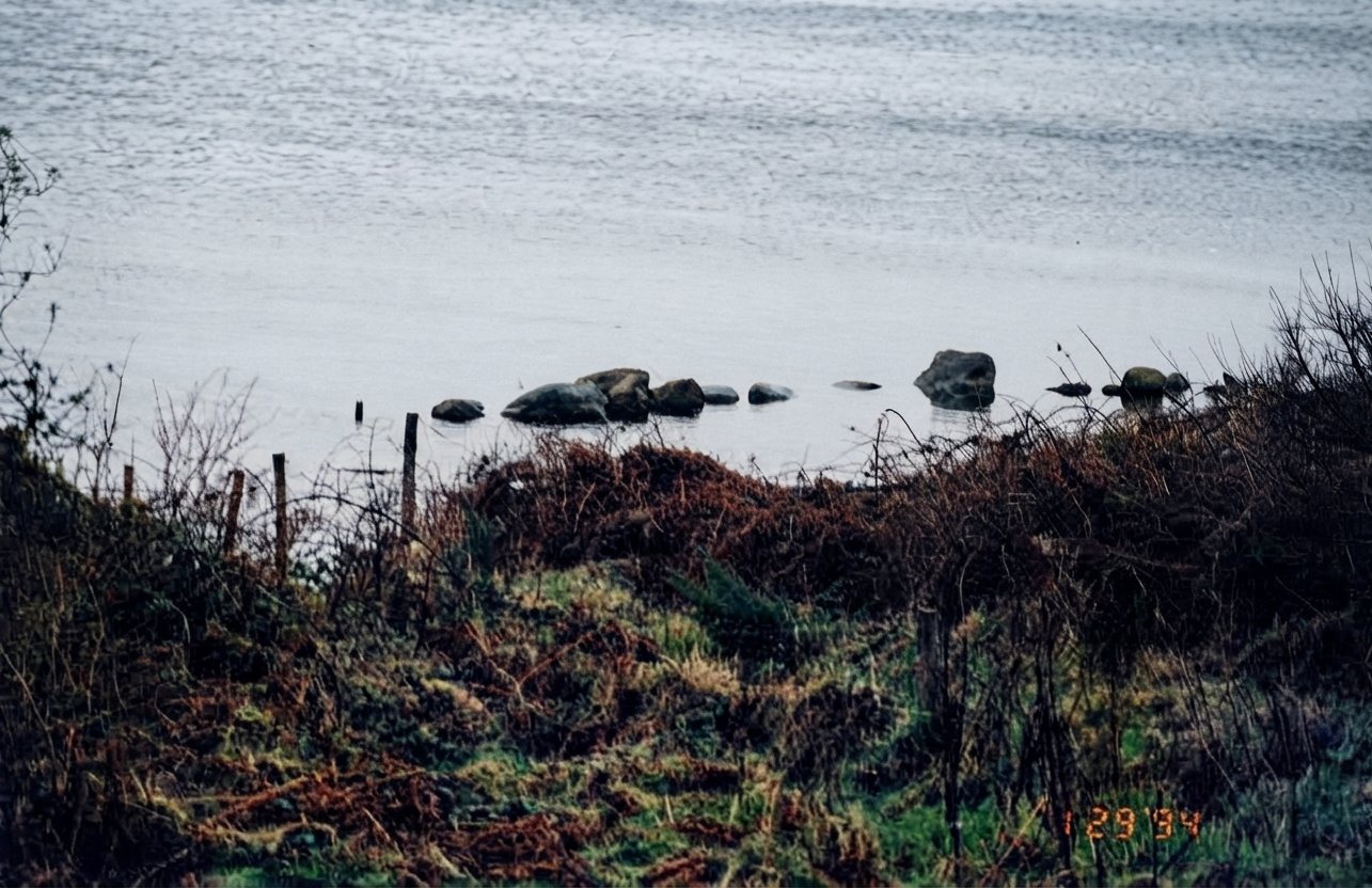 Wide view of the shoreline